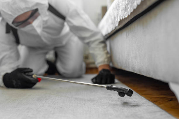 Professional Bed Bug Control technician working in Pembroke Park, FL