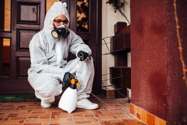 Reliable Bed Bug Control contractor in Pembroke Park, FL by Nex Pest Control
