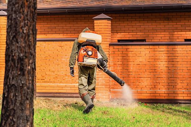 Trusted Ant Control service in Pembroke Park, FL - Nex Pest Control